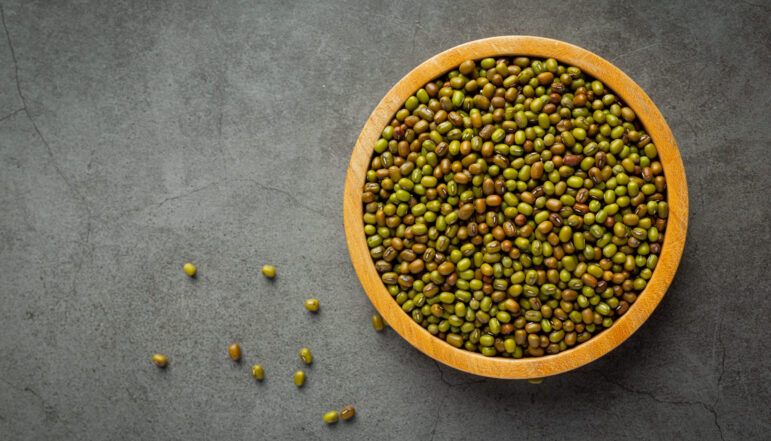 Sprouts seed in wooden small bowl